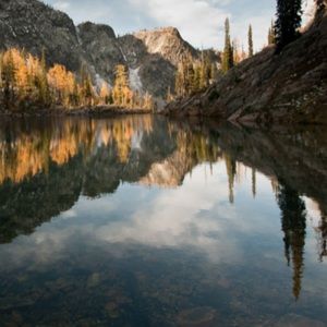 Meet your Posher, Ala